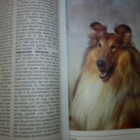 "Енциклопедия на кучето"-Германия, снимка 10 - Специализирана литература - 33458448