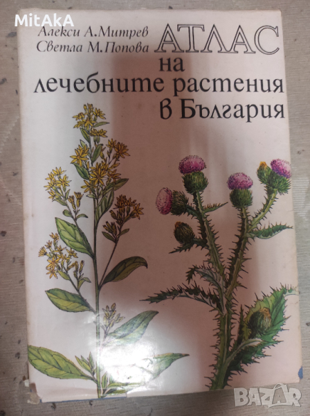 Алекси А. Митрев, Светла М. Попова - Атлас на лечебните растения в България, снимка 1