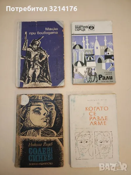 Солена синева - Никола Радев, снимка 1