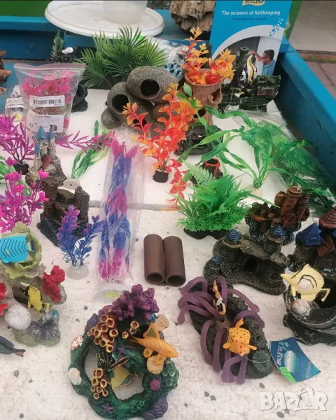 Продавам аквариуми риби аксесоари, снимка 1