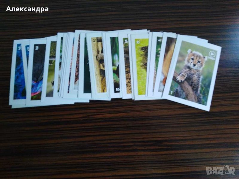 Стикери BILLA Animal Planet , снимка 1