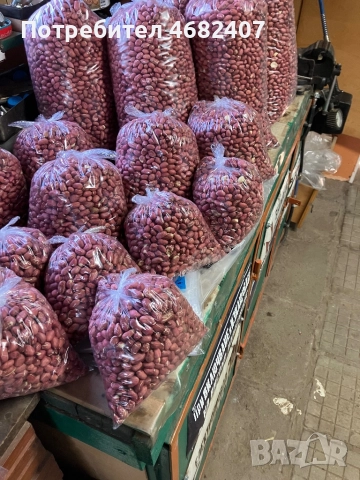 Български ФЪСТЪК, снимка 7 - Разсади - 52790593