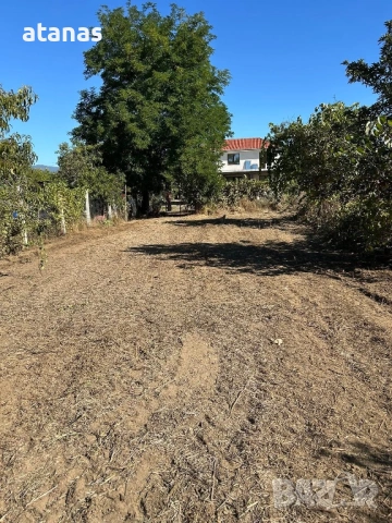 Оране фрезоване и мулчиране на дворове, снимка 17 - Други услуги - 53048896