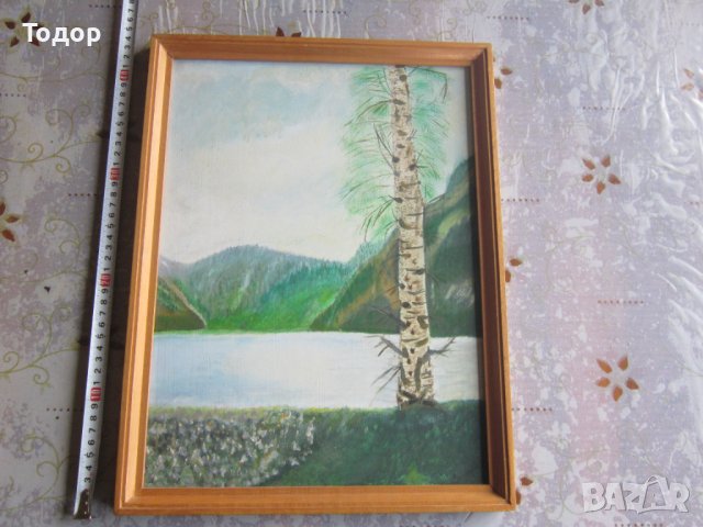 Стара картина масло върху фазер подписана 