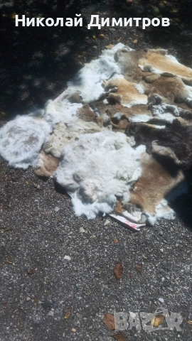 Заешки кожи обработени в кожарска за фабрика Велур . При покупка над 5 кожи безплатна доставка., снимка 4 - Други - 51549805