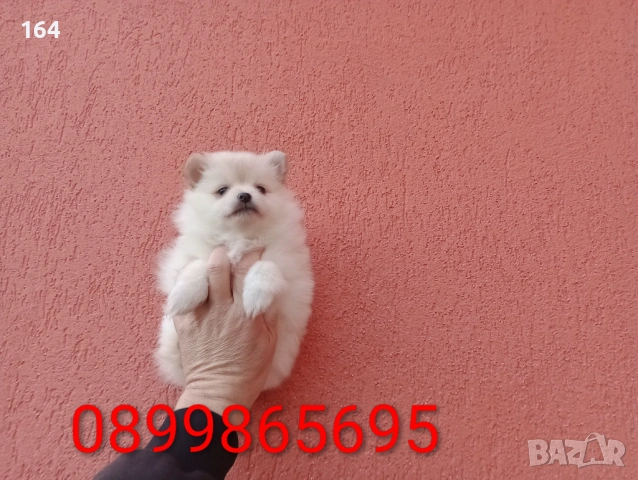 Момиченце. Снимки от днес!