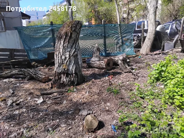 Продавам орех, снимка 2 - Други - 49878578