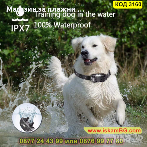 Електронна каишка нашийник за дресировка на кучета до 800м. - КОД 3160, снимка 5 - За кучета - 44842490