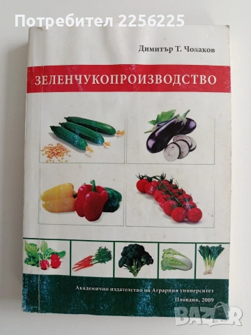 Зеленчукопроизводство