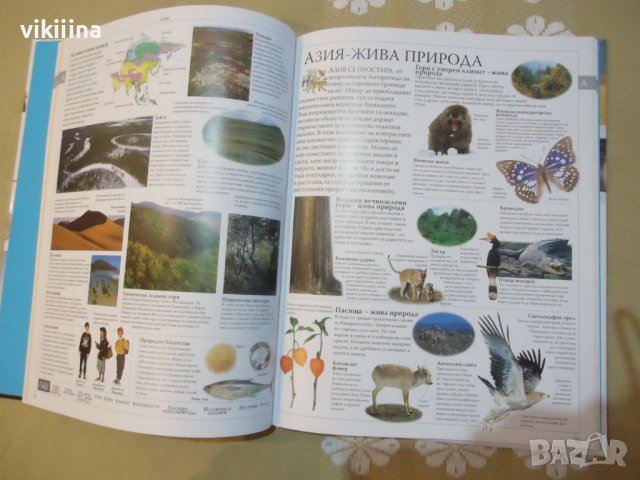 Илюстрована семейна енциклопедия. Том 1, снимка 2 - Енциклопедии, справочници - 43215280