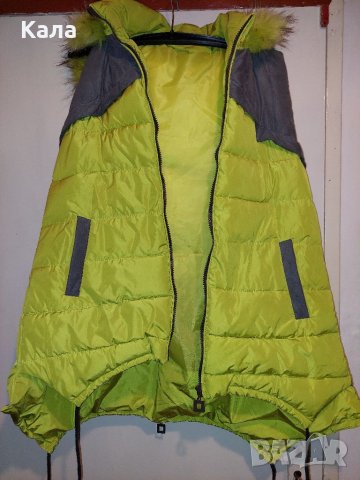 Дамски елек