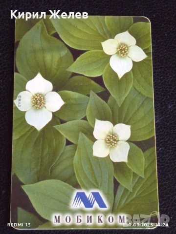 Четири фонокарти МОБИКА, БУЛ ФОН тема ЦВЕТЯ редки за КОЛЕКЦИЯ ДЕКОРАЦИЯ 50834, снимка 5 - Колекции - 51666432