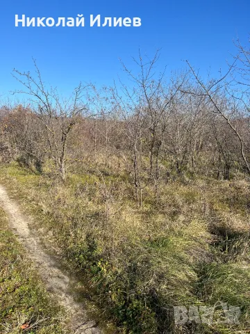 Парцел гр.Аксаково,м-т Кум Тепе, снимка 6 - Парцели - 48598073