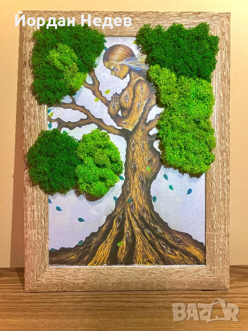 Картина от Скандинавски мъх