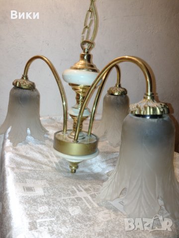 Полилей, снимка 7 - Полилеи - 34571311