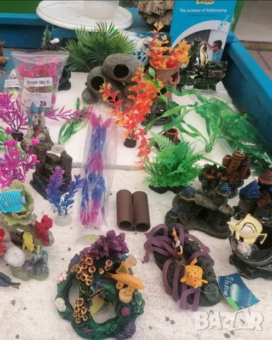 Продавам аквариуми риби аксесоари, снимка 3 - Аквариуми - 47433173