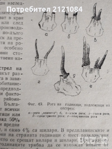 Подборен отстрел на едрия дивеч / Н.Ботев, И.Колев,П.Драгоев , снимка 7 - Специализирана литература - 53475650