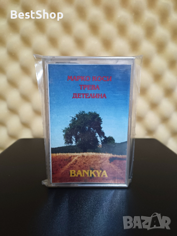 гр. Банкя - Марко коси трева детелина