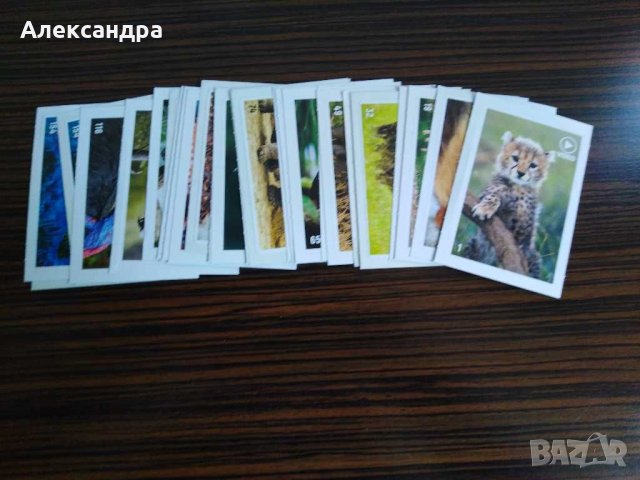 Стикери BILLA Animal Planet , снимка 1