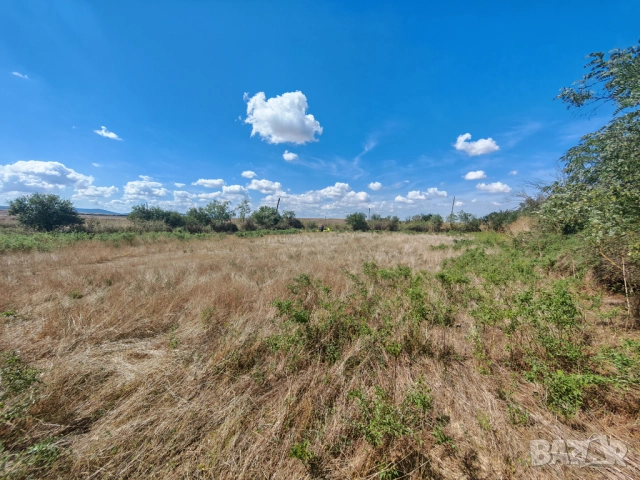 Продава се дворно място 2000м² , снимка 5 - Парцели - 51712104