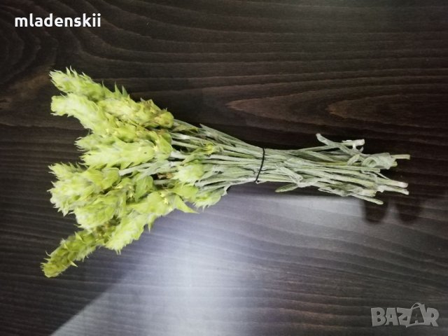 Мурсалски чай, снимка 2 - Хранителни добавки - 35587770