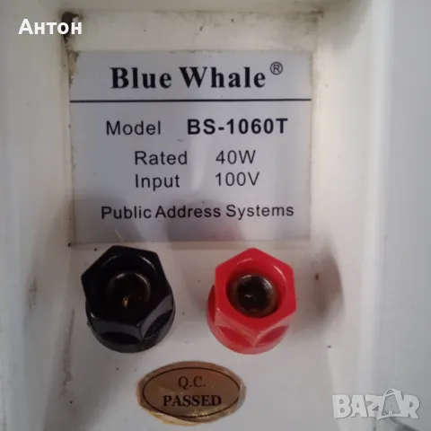 Тонколони Blue Whale-BS-1060T, снимка 14 - Тонколони - 47481847