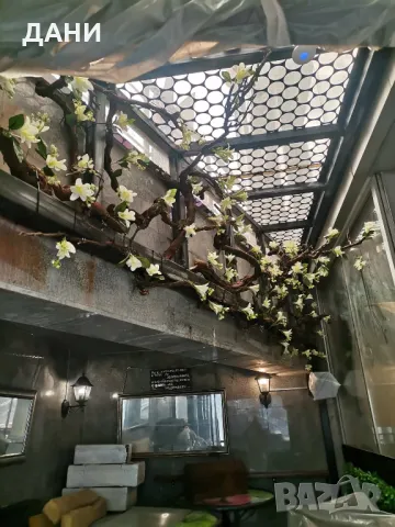 Под наем кафе- бар в Студентски град София - сутерен 150 кв.м., снимка 13 - Заведения - 48638820