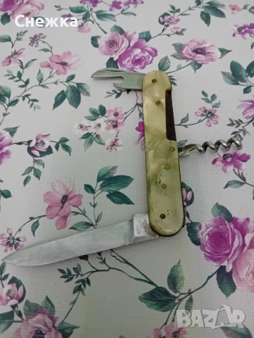 стара ножка джобна