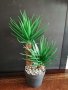 Изкуствена алое Вера в кашпа, снимка 2