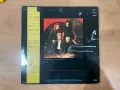 Грамофонна плоча 12”, снимка 2