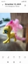 My little pony, 18 бр фигури, снимка 11