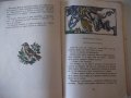 Книга "Неоценимото богатство-А.Каралийчев/Н.Тодоров"-174стр., снимка 6