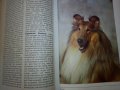 "Енциклопедия на кучето"-Германия, снимка 10
