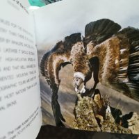 Wildlife / Mini Cubе Book , снимка 6 - Енциклопедии, справочници - 43250446