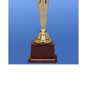 Оскар за най- добър РИБАР,сувенир ,награда, снимка 8 - Статуетки - 40337144