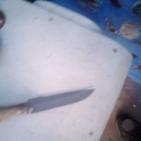 Ловджийски правен нож с краче от кошута, снимка 2 - Ножове - 44084448