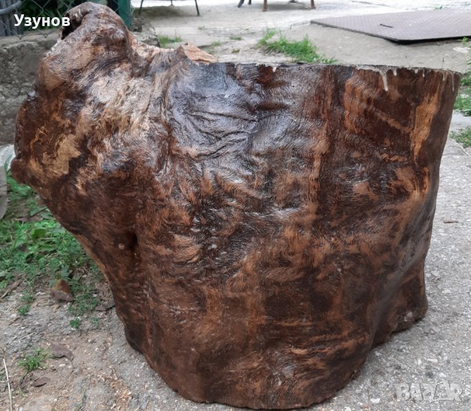 Голям дъбов пън, снимка 1