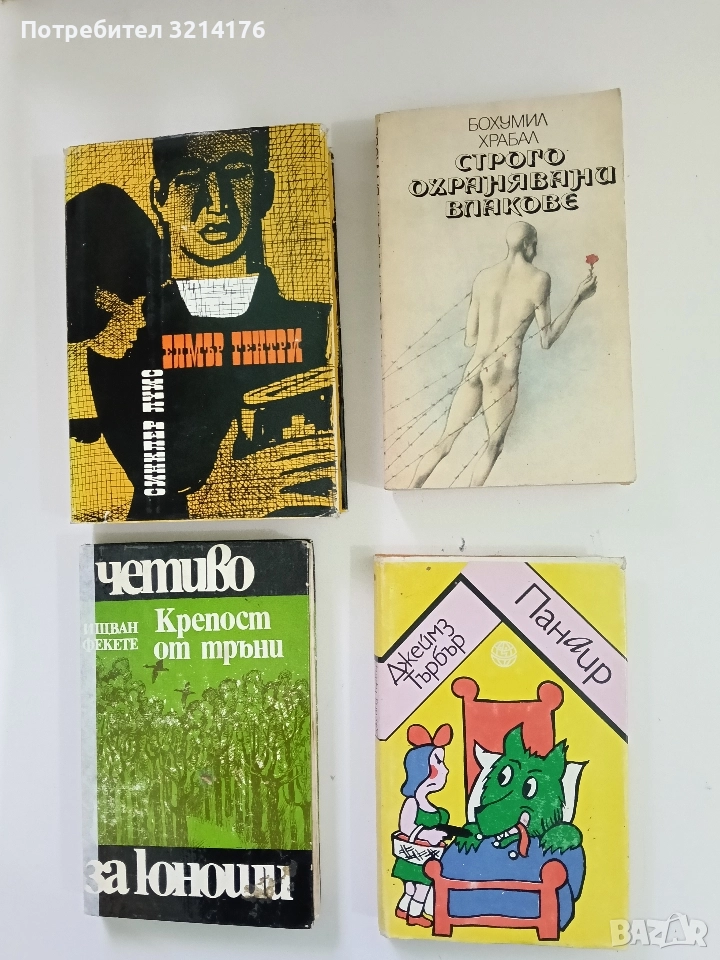 Панаир - Джеймз Търбър, снимка 1