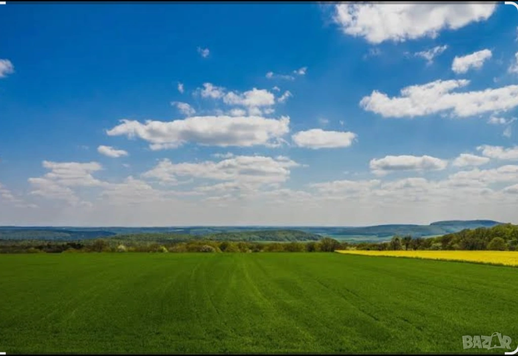 Земеделска земя под наем Аренда на земеделска земя Наем на ниви в област Кюстендил, снимка 1