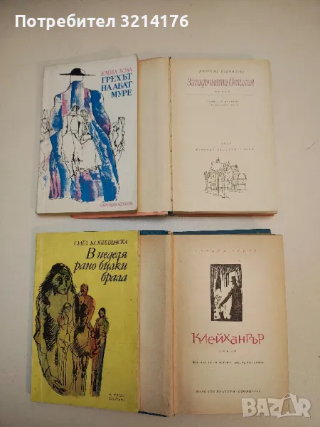 Загадъчната Отилия - Джордже Калинеску, снимка 1
