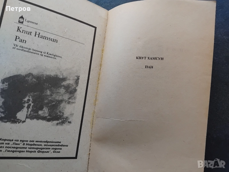 Глад, Кнут Хамсун, снимка 1