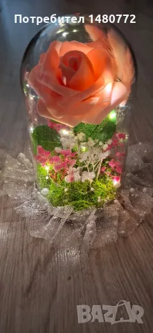Светещи куполи с изкуствена роза, декорация и скандинавски мъх , снимка 4 - Друга електроника - 49022265