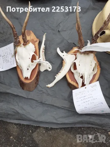 Декораций за стена с описание