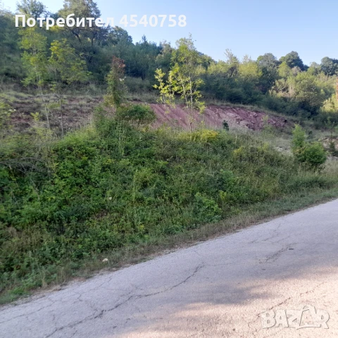 Земеделска земя , снимка 5 - Земеделска земя - 51105560