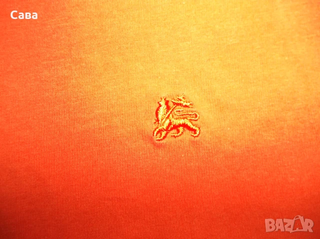 Тениски LERROS,BISON  мъжки,ХЛ   /сива и оранж/, снимка 10 - Тениски - 44866054