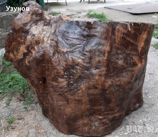 Голям дъбов пън