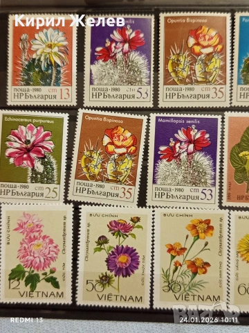 Стари пощенски марки без печат ЦВЕТЯ ВИЕТНАМ,НРБ за КОЛЕКЦИЯ 52072, снимка 2 - Филателия - 53208310