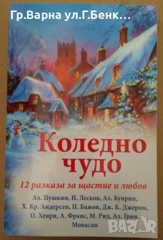 Коледно чудо  12 разказа за щастие и любов, снимка 1 - Художествена литература - 39943429