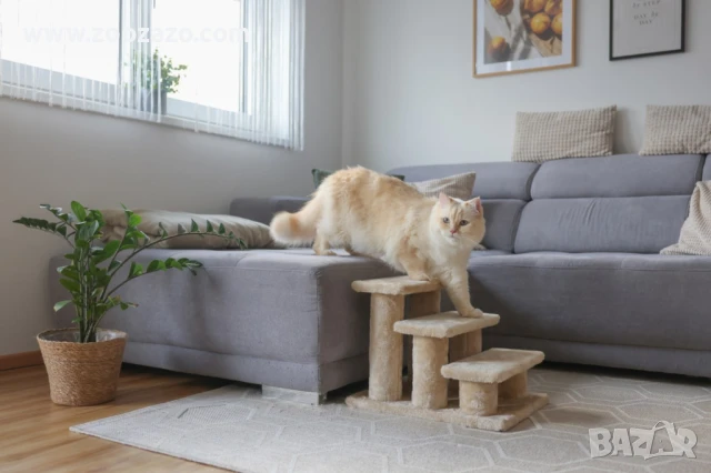 Стълба за котки и малки кученца, 45 х 35 х 34 см. - Kerbl Animal Stairs Easy Climb - Модел: 80922, снимка 2 - За котки - 51114884