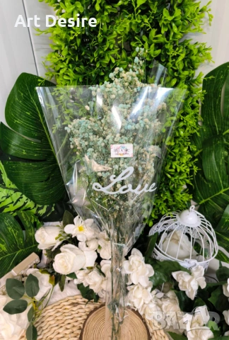 Гипсофил , снимка 8 - Други - 53408838